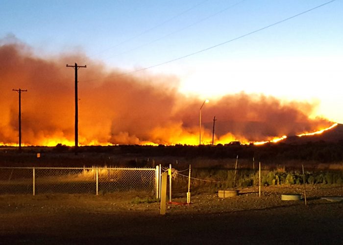 Arid Lands Initiative | Implementation